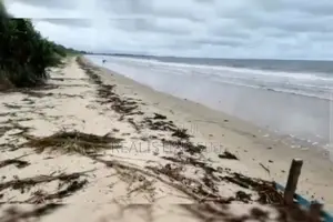 Mkuranga: Ocean Front 9 Acres Beach Land for Sale - Pwani
