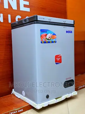 Boss Freezer 100 Liters