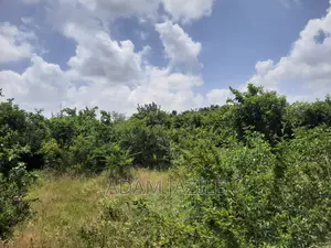 Shamba La Ekari 15 Linauzwa Fukayosi Bagamoyo