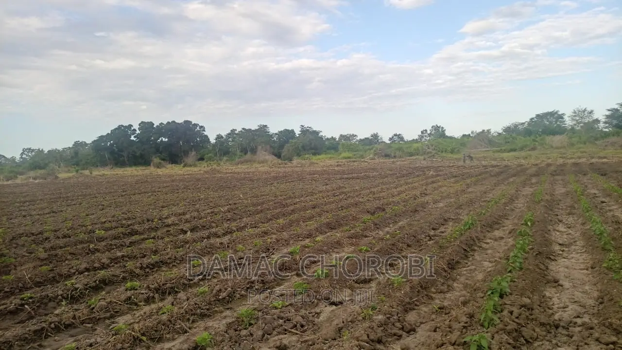 Shamba Linauzwa Mto Wami