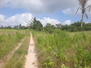 Shamba La Ekari 4 Linauzwa Fukayosi