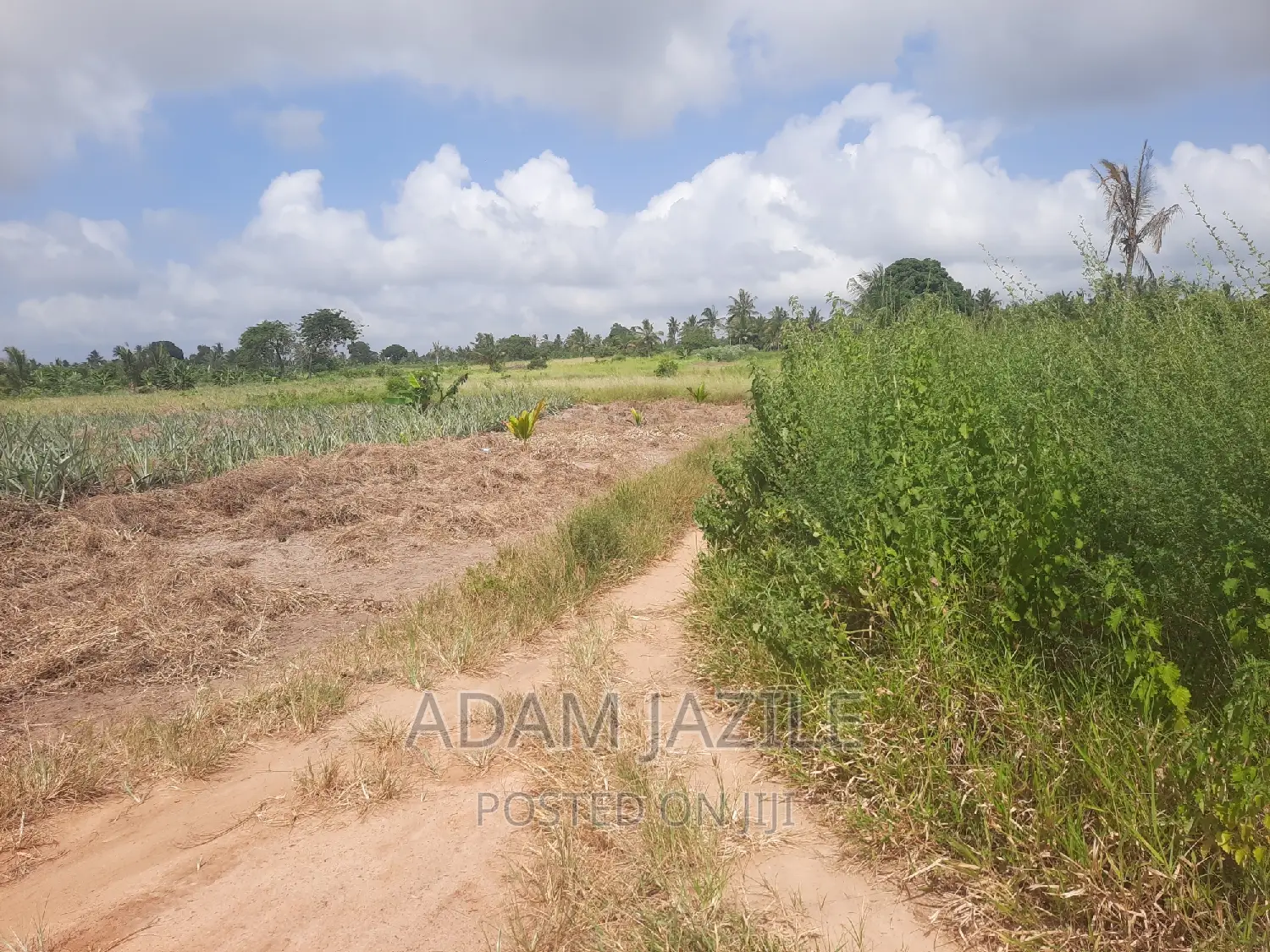 Shamba La Ekari 4 Linauzwa Fukayosi