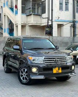 Toyota Land Cruiser 2008 Gray