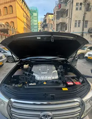 Toyota Land Cruiser 2008 Gray