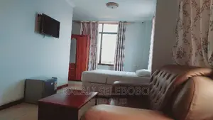 Furnished Mini Flat in Sinza C for rent