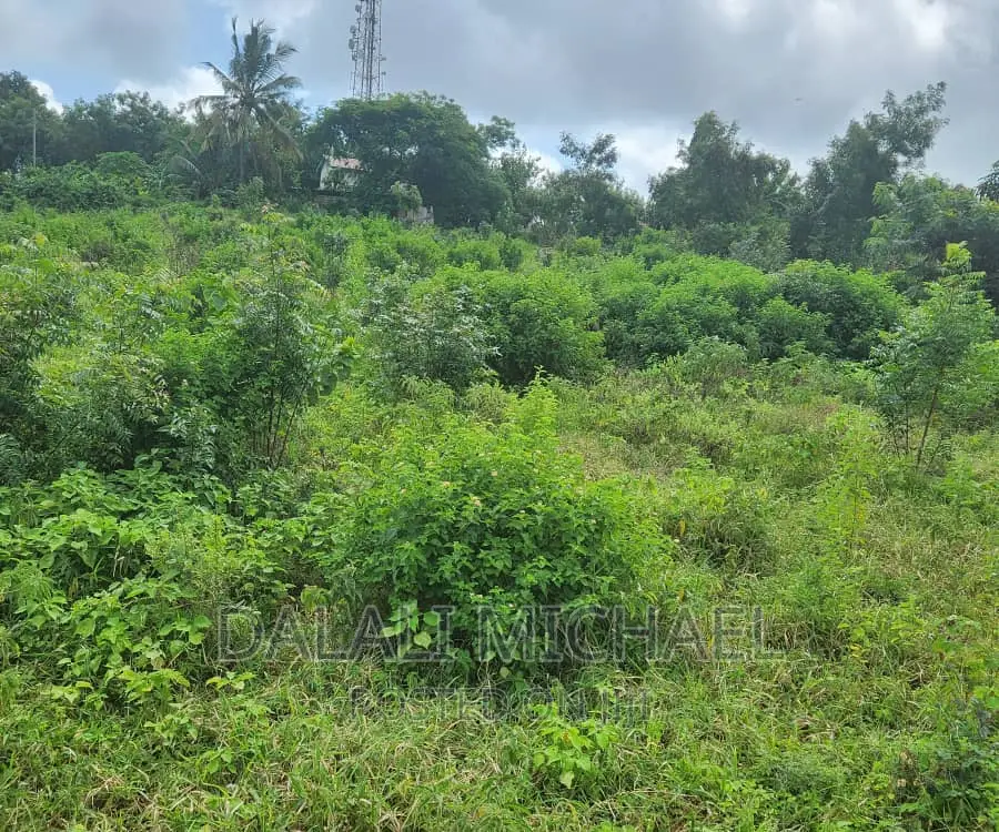 Plot for Sale at Salasala.