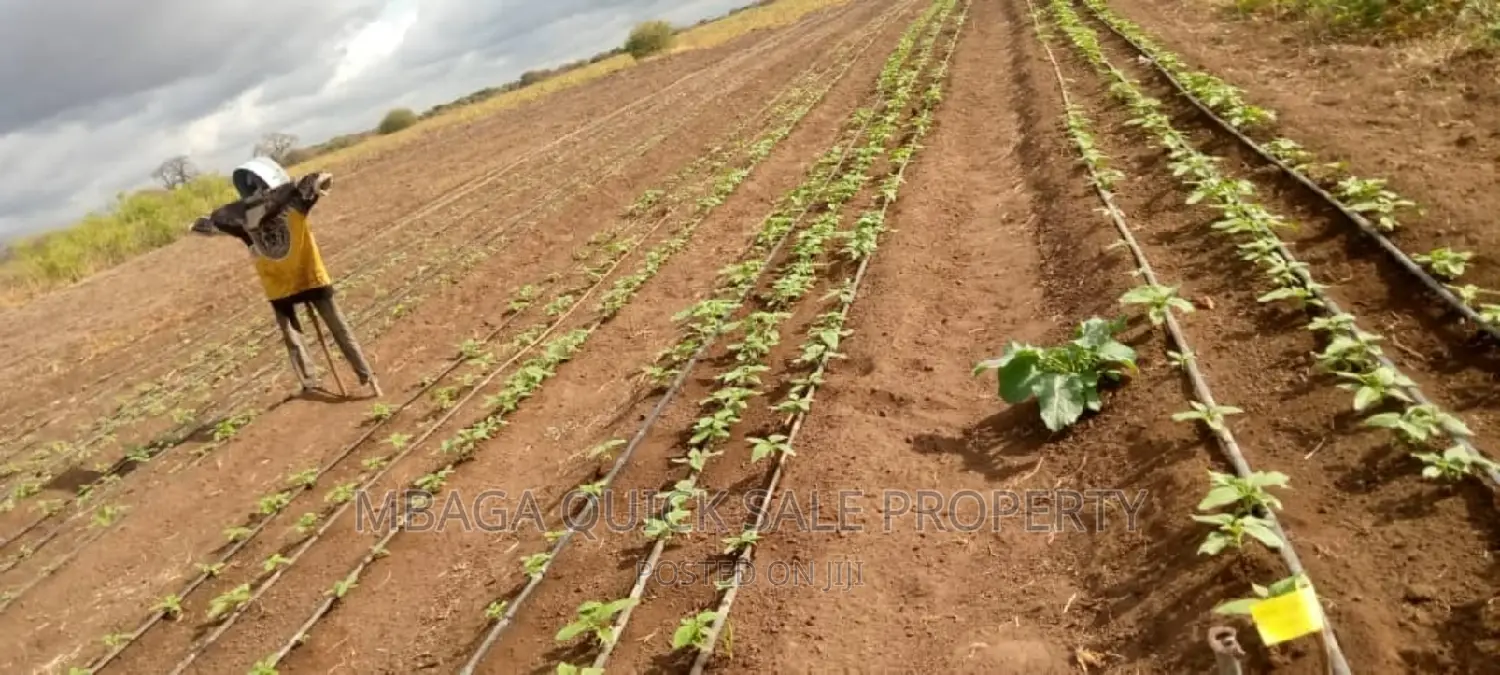 Farm for Sale at Orjoro Simanjiro Manyara Region
