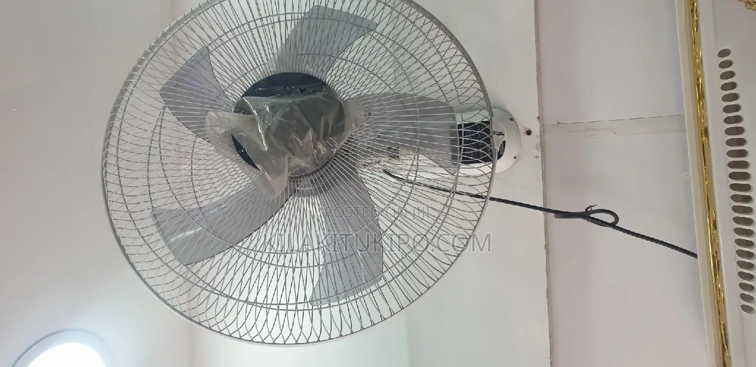 Dolphin Remote Wall Fan