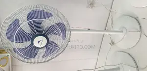 Dolphin Standing Fan 18*