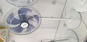 Dolphin Standing Fan 18*