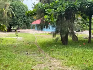 Beach Plot at Mkuranga Boza