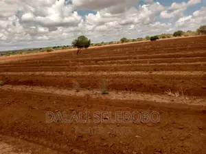 Beach Plot at Mkuranga Boza