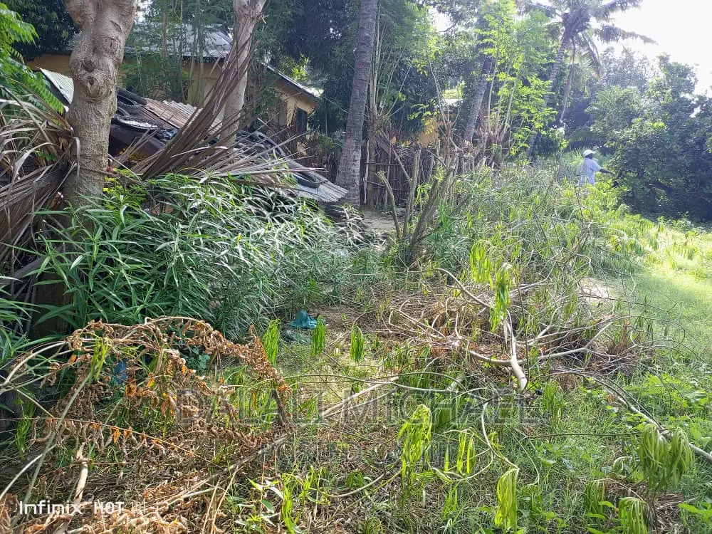 Commercial Plot for Sale Boko