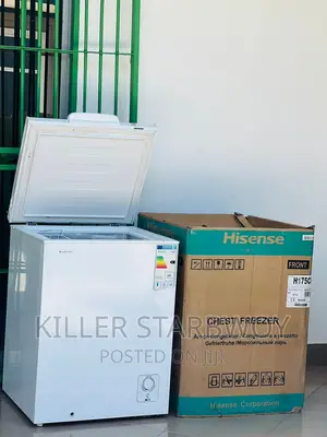 Hisense Freezer Lita 150