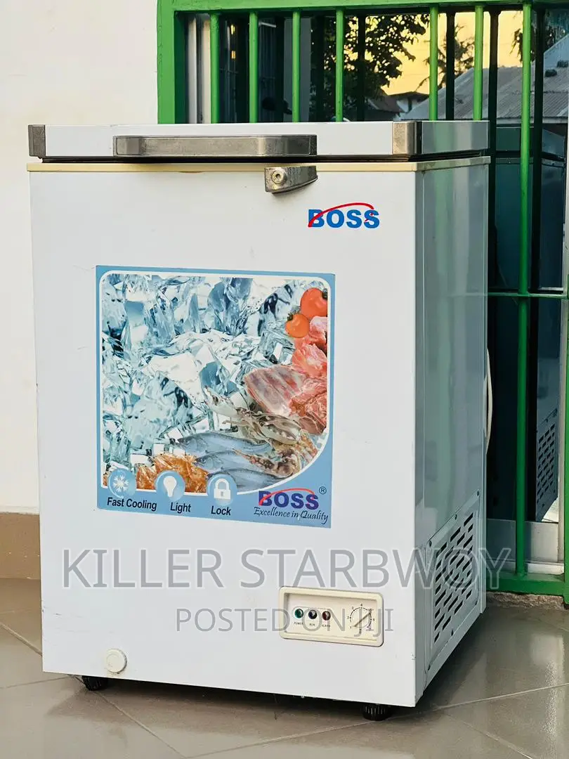 Freezer Lita 100