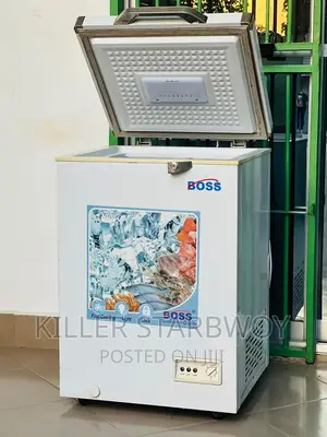Freezer Lita 100