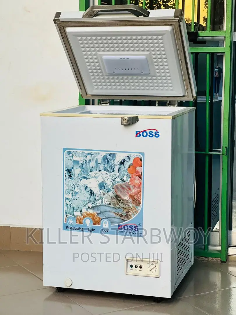 Freezer Lita 100