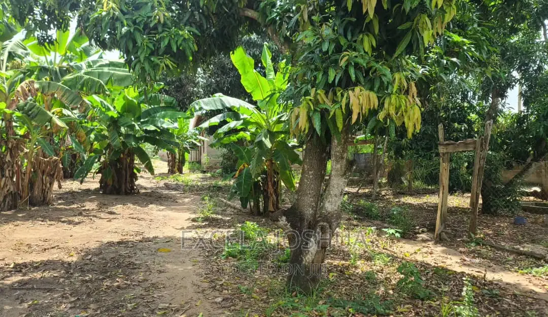 Shamba Linauzwa Kibaha Kwa Mathias