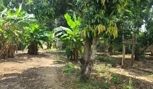 Shamba Linauzwa Kibaha Kwa Mathias