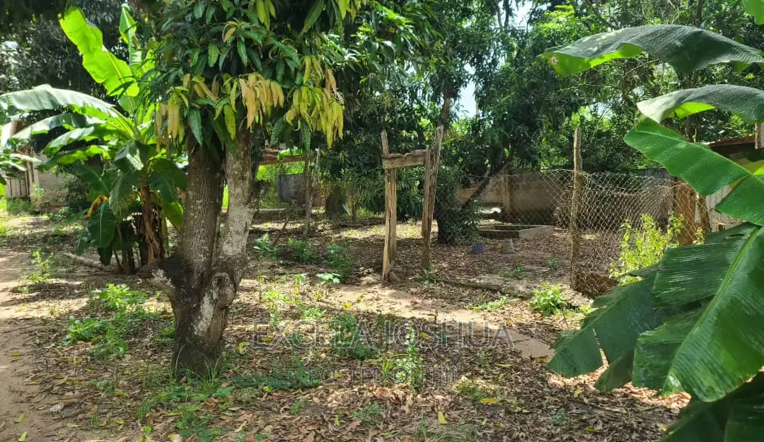 Shamba Linauzwa Kibaha Kwa Mathias
