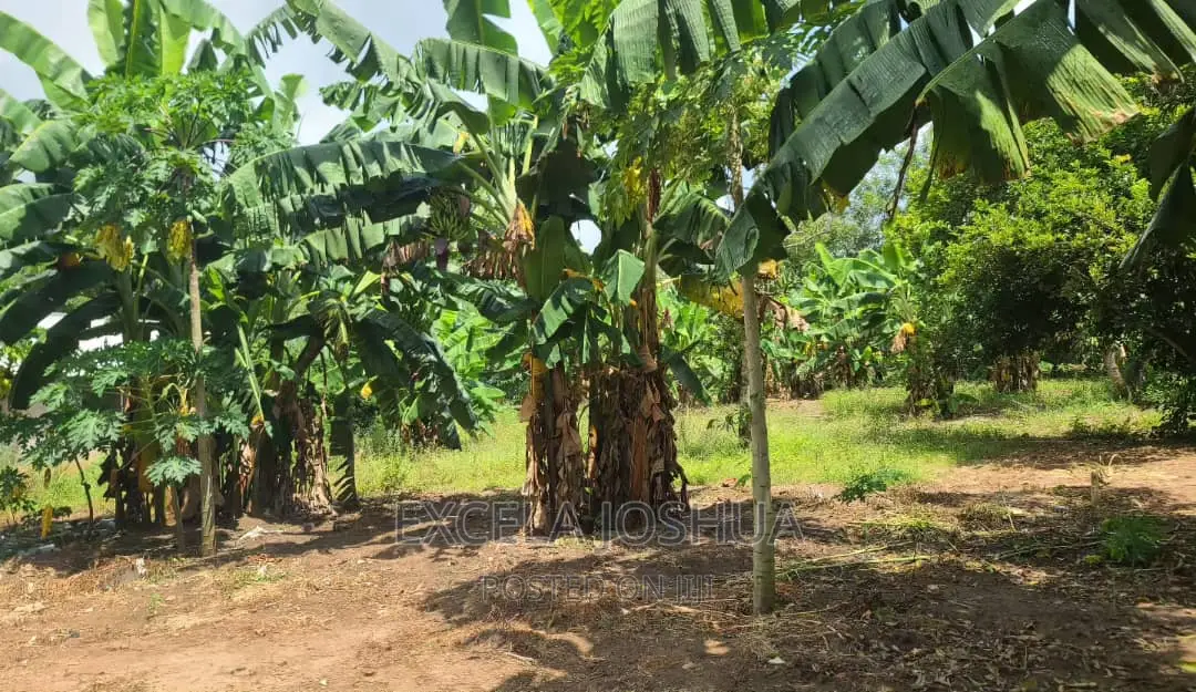 Shamba Linauzwa Kibaha Kwa Mathias