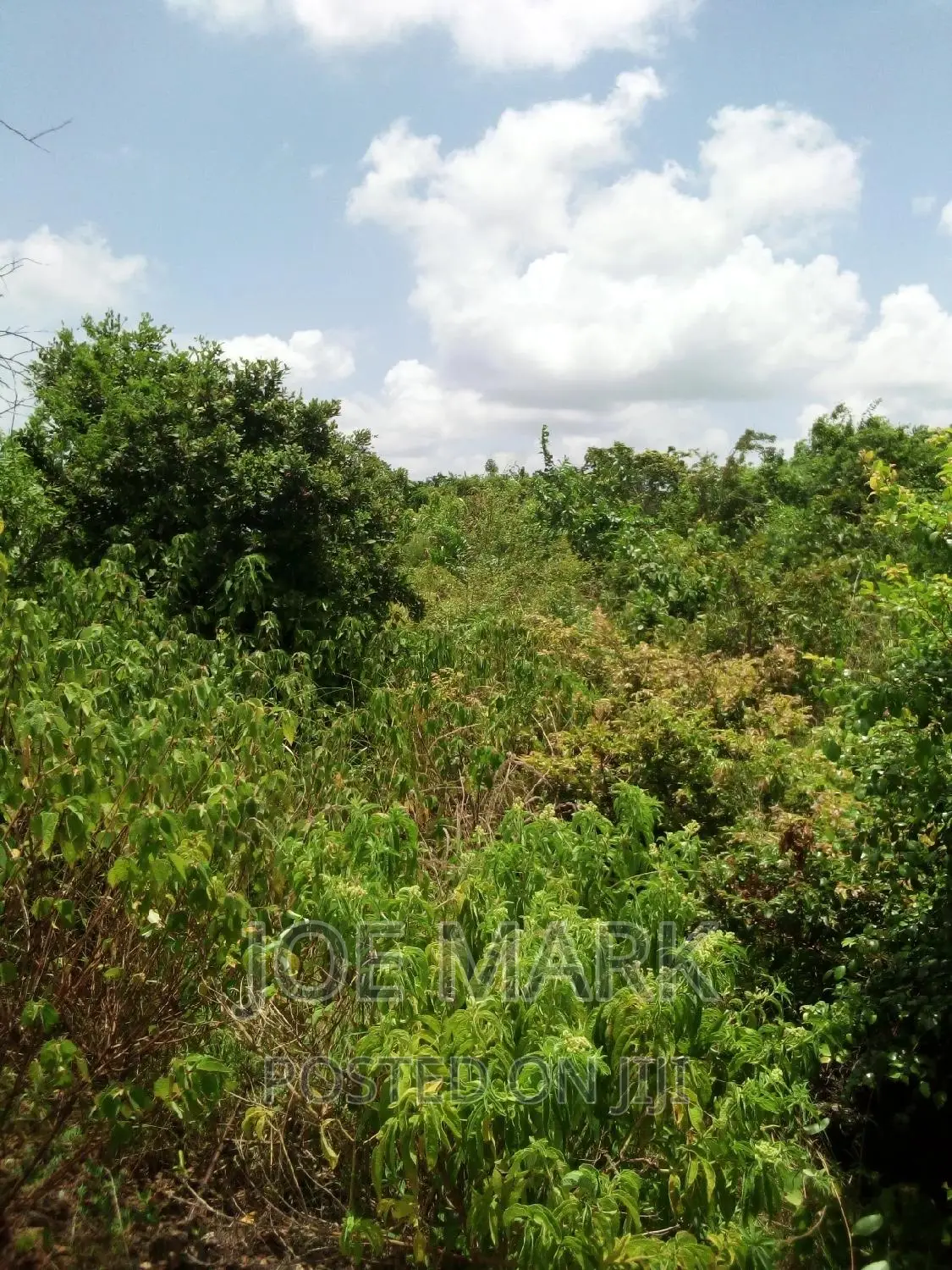 Shamba Linauzwa Mzenga Kisarawe