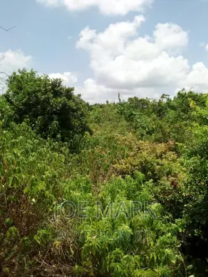 Shamba Linauzwa Mzenga Kisarawe