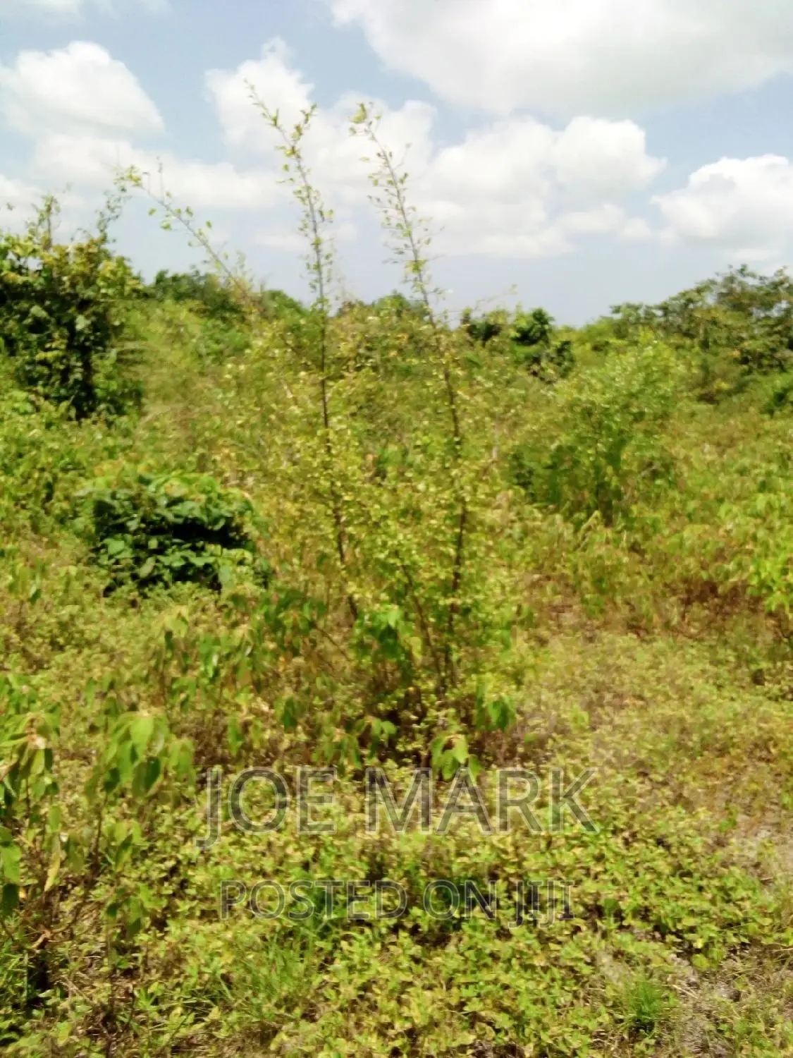 Shamba Linauzwa Mzenga Kisarawe