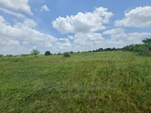 Plot 4 Petro Station at Chalinze