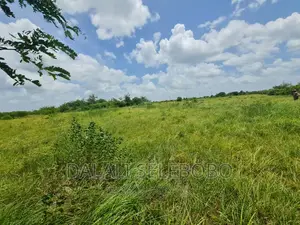 Plot 4 Petro Station at Chalinze