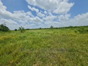 Plot 4 Petro Station at Chalinze