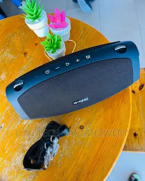 W-King Portable Speaker X10 King of Bass | Bluetooth