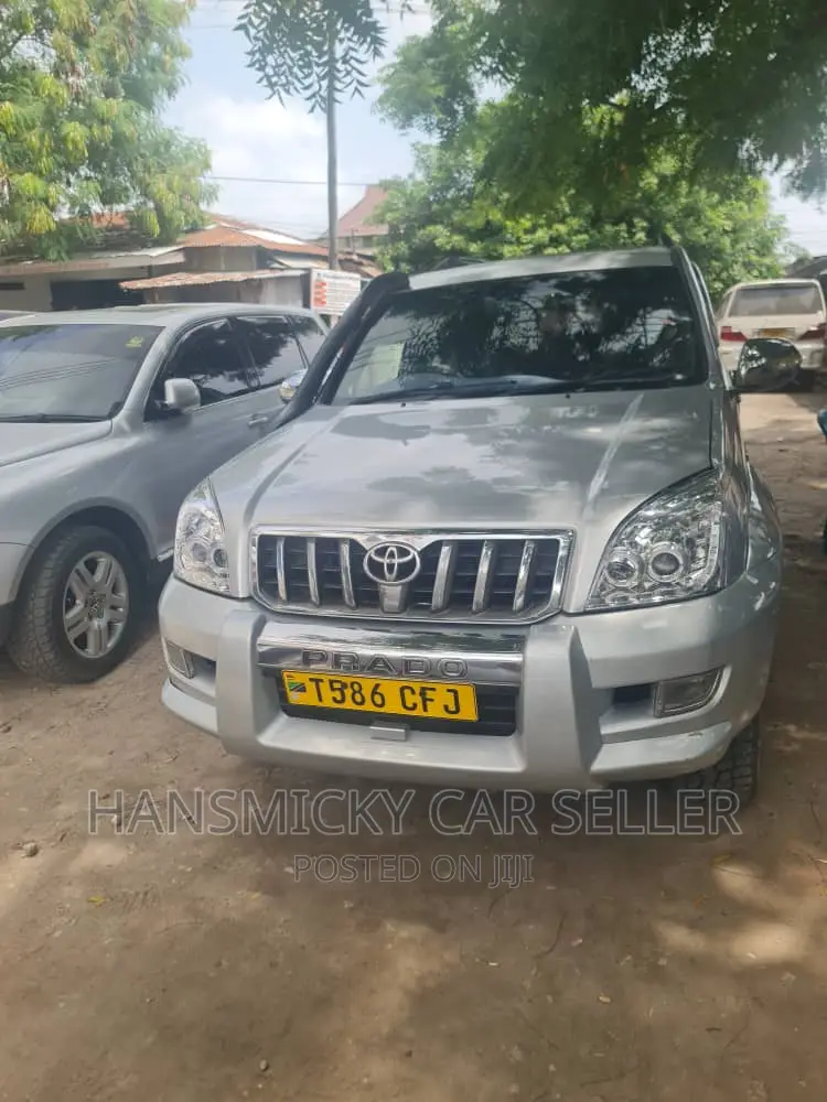 Toyota Land Cruiser 2011 Silver