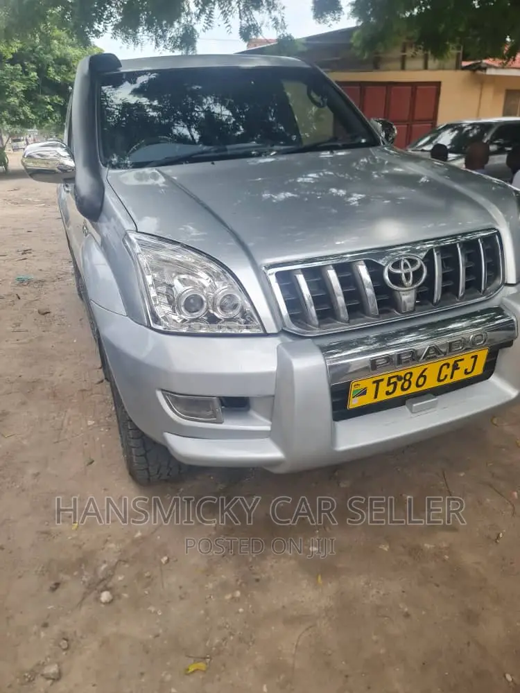 Toyota Land Cruiser 2011 Silver