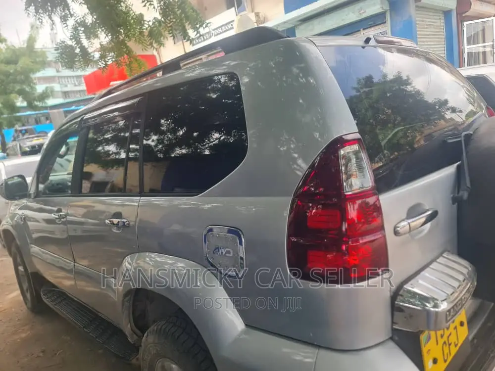 Toyota Land Cruiser 2011 Silver