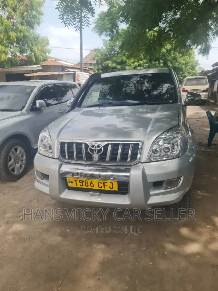 Toyota Land Cruiser 2011 Silver