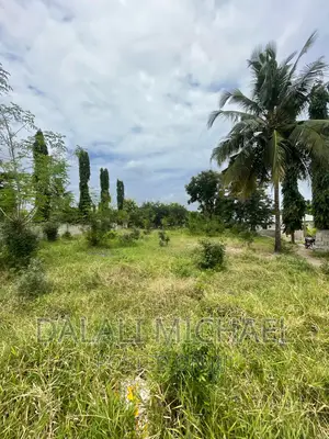 Plot for Sale Bahari Beach!