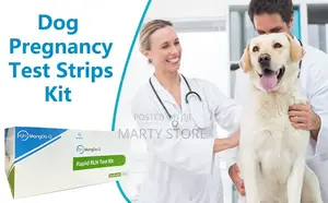 Pregrancy Test Kit