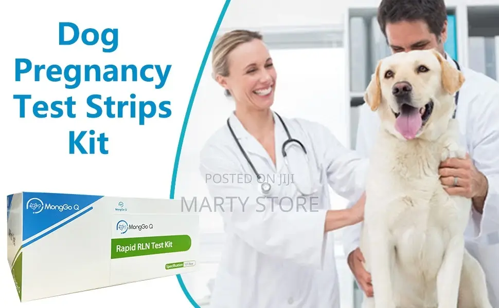 Pregrancy Test Kit