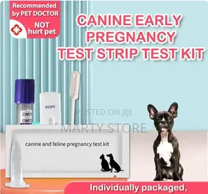 Pregrancy Test Kit