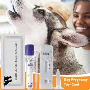Pregrancy Test Kit