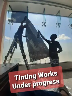 Tint Film- For Sunlight Problems And Get Privacy.