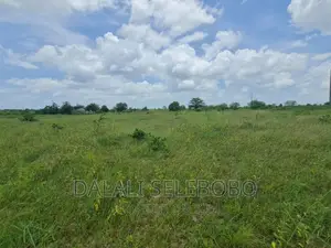 Plot at Chalinze
