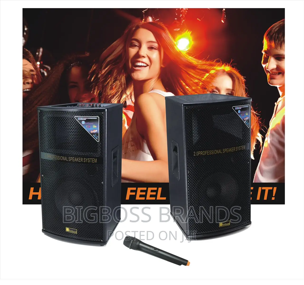 Richsound Speaker 12 Inch
