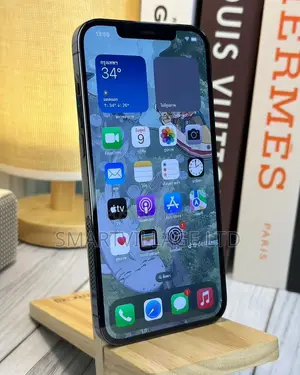 Apple iPhone 12 Pro Max 256 GB Blue
