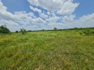 Photo - Plot for Sale at Chalinze Chamakweza