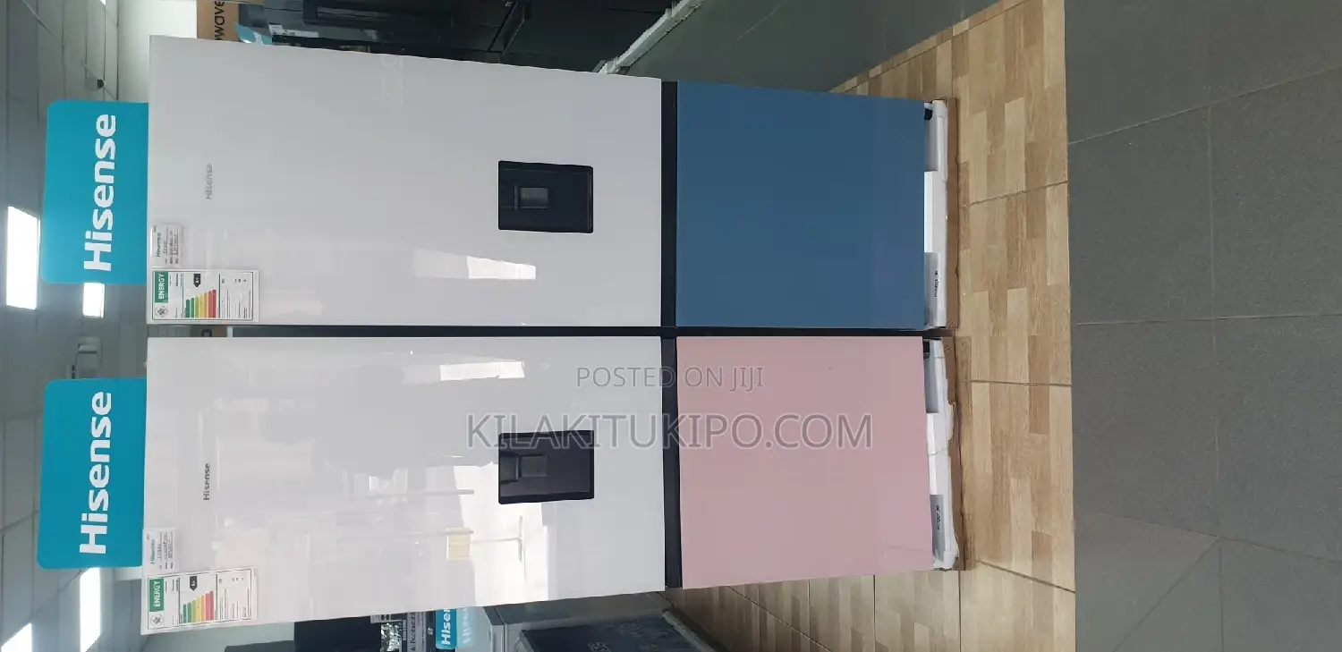 Hisense Fridge H 450bdbl H 450bdp 305L