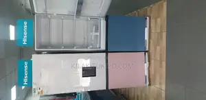 Hisense Fridge H 450bdbl H 450bdp 305L