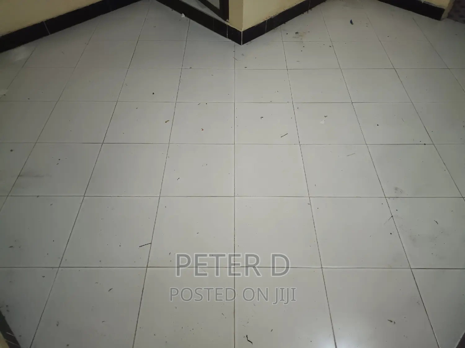 1bdrm Apartment in Kimara for rent