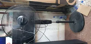 Power King Standing Remote Fan